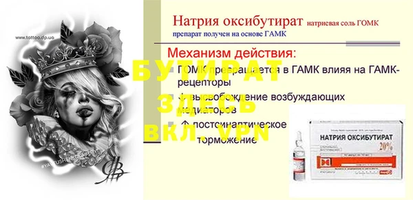 прущие грибы Вязьма