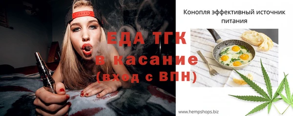 прущие грибы Вязьма