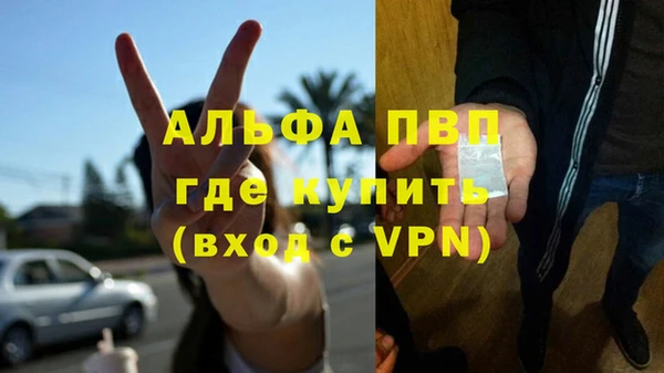 прущие грибы Вязьма