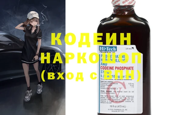прущие грибы Вязьма