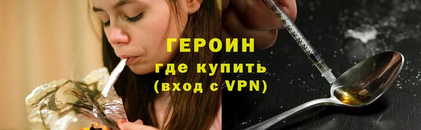 прущие грибы Вязьма
