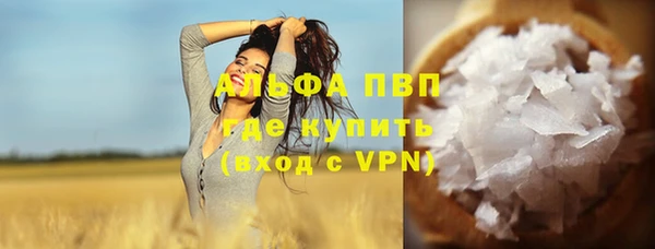 прущие грибы Вязьма