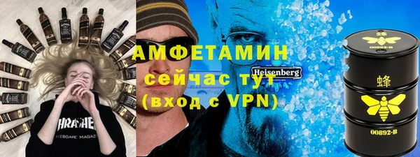 прущие грибы Вязьма