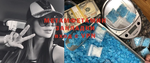 прущие грибы Вязьма