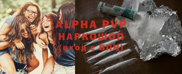 прущие грибы Вязьма