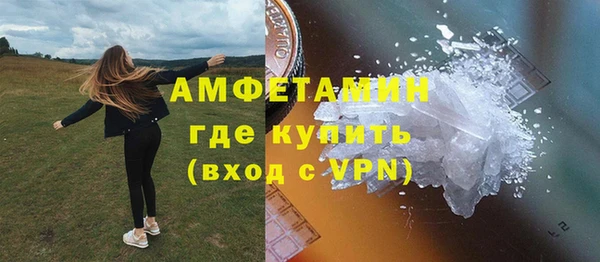 прущие грибы Вязьма